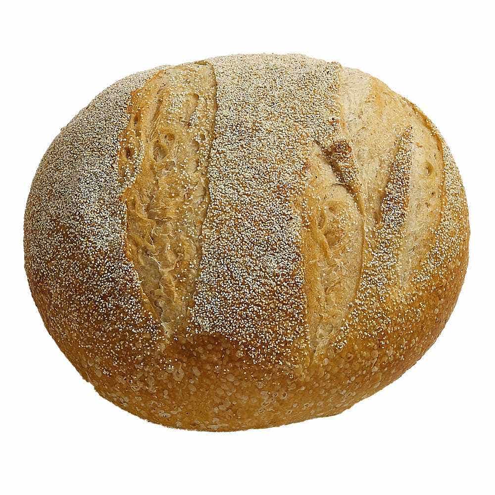 Wholesale Ecce Panis Sourdough Boule 16 Oz- Bulk