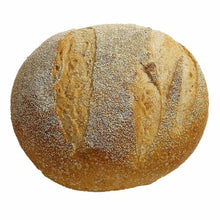 Wholesale Ecce Panis Sourdough Boule 16 Oz- Bulk