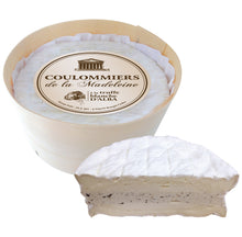 Wholesale Coulommiers Madeleine Truffe- Bulk