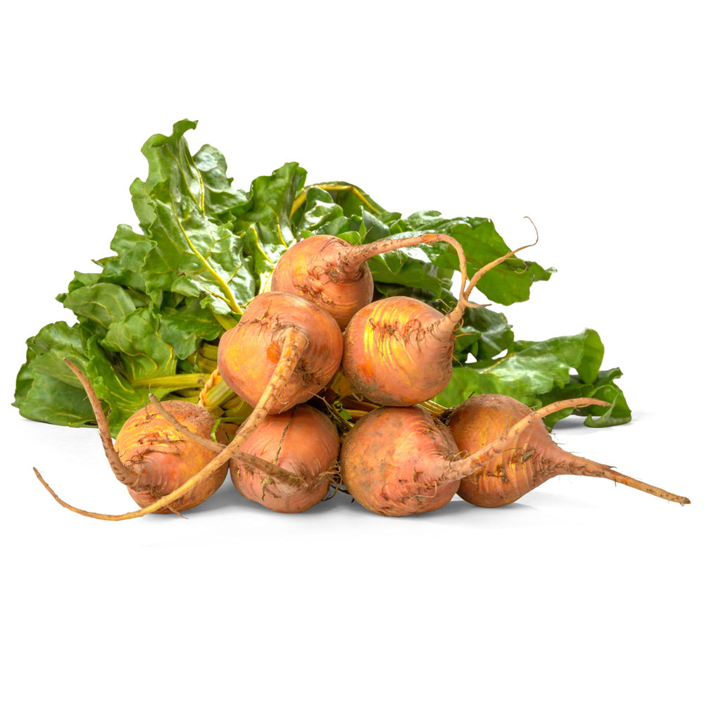 Wholesale BoxNCase Case Baby Gold Beets- Bulk