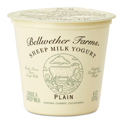 Wholesale Bellwether Sheep Yogurt Plain- Bulk