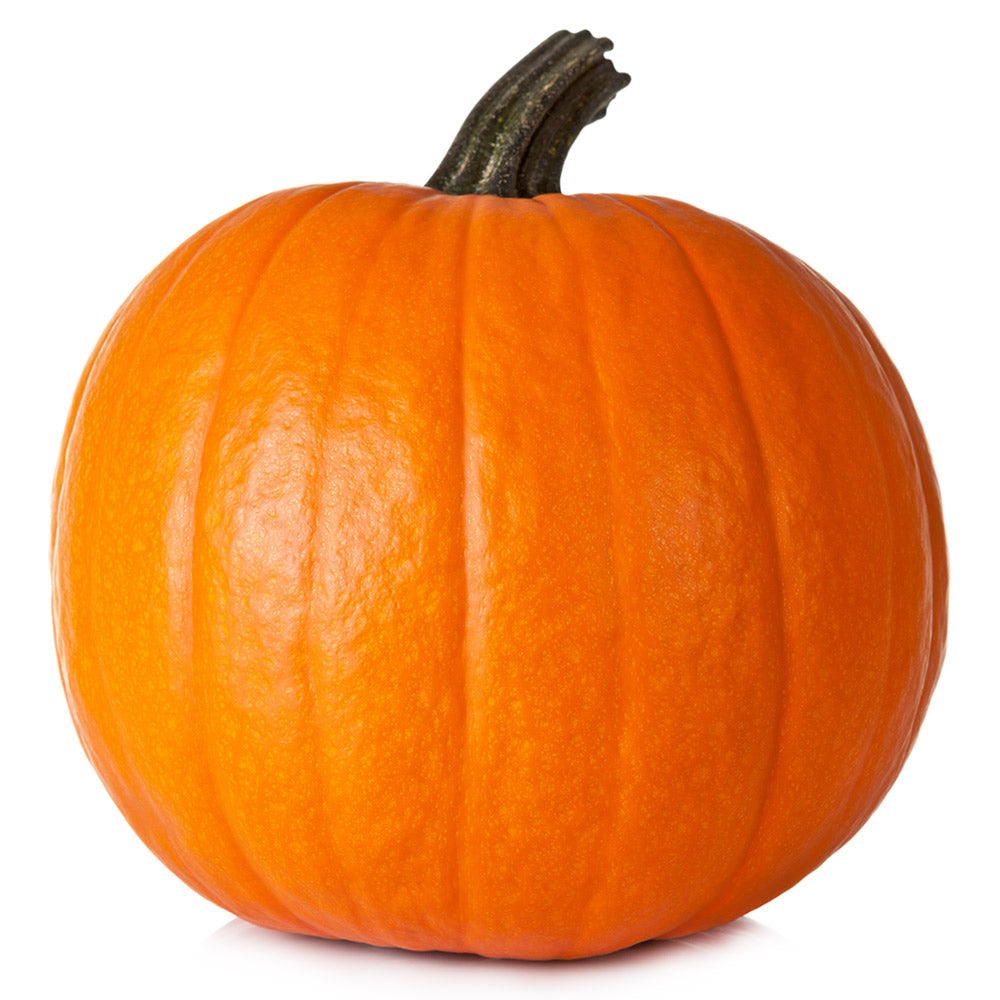 Wholesale Large Pumpkin | 14-18 lb avg- Bulk