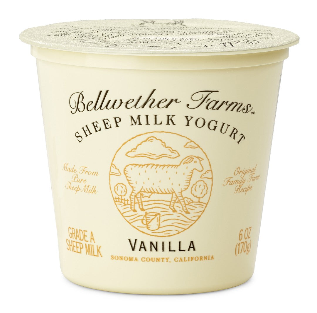 Wholesale Bellwether Sheep Yogurt Vanilla- Bulk