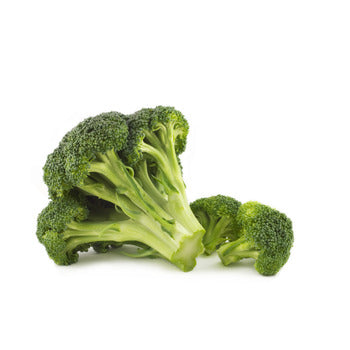 Wholesale Snow Fresh Broccoli Spears 2lb- Bulk