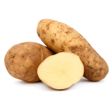 Wholesale BoxNCase Case Organic Russet Potatoes- Bulk