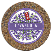 Wholesale Koch Lavandula (Lavender) 6K- Bulk
