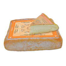 Wholesale Bufflone Rousse 2K- Bulk