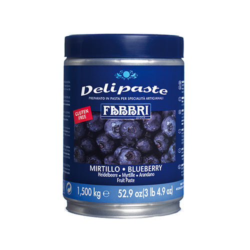 Wholesale Fabbri Blueberry 1.5kg- Bulk