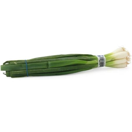 Wholesale Andy Boy Case Iceless Scallions- Bulk