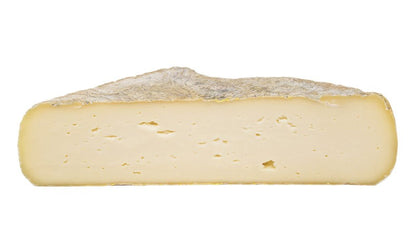 Wholesale Guffanti Sola 6.5- Bulk