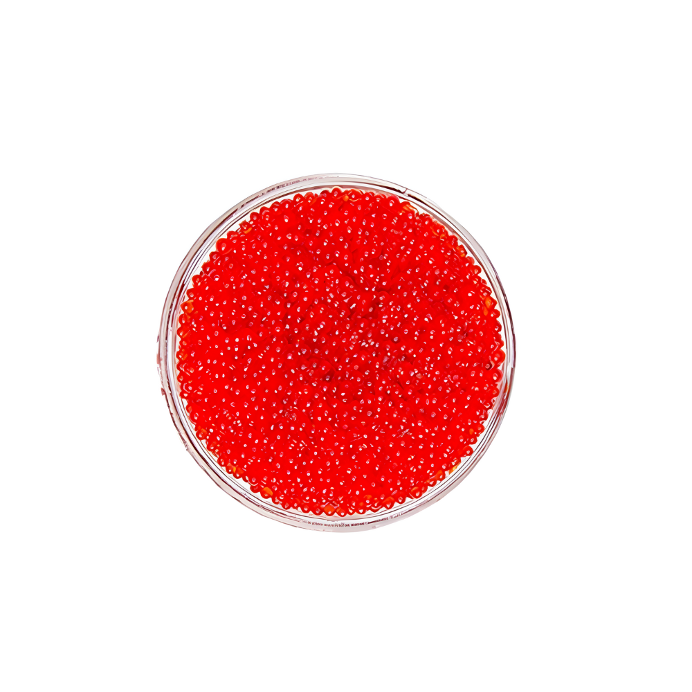Wholesale BoxNCase Case Red Tobiko- Bulk