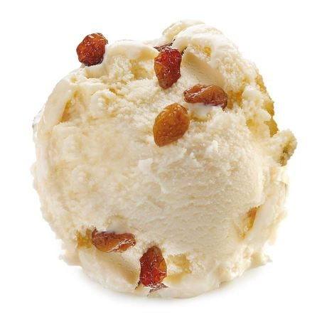 Wholesale Gelarto Case Malaga Rum Raisin Gelato- Bulk