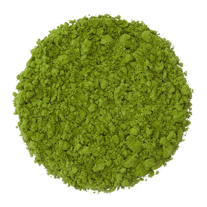 Wholesale Sugimoto Amer Case Culinary Matcha Tea- Bulk
