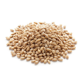Wholesale Gefen Barley 1lb- Bulk