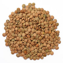Wholesale Senor Frijoles Lentils 1lb- Bulk