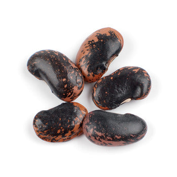 Wholesale D'Allesandro Scarlet Runner Beans 10lb- Bulk