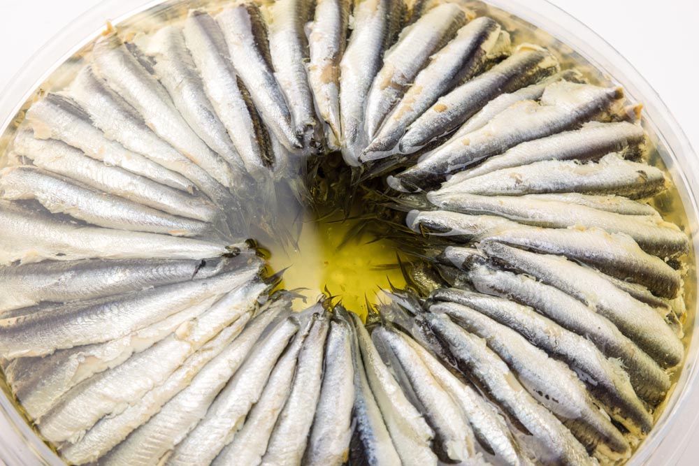 Wholesale BelAria Marinated White Anchovies Boquerones 2.2lb- Bulk