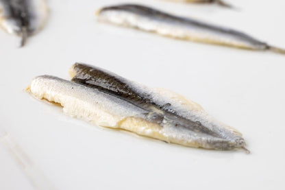 Wholesale BelAria Marinated White Anchovies Boquerones 2.2lb- Bulk