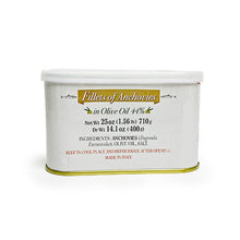 Wholesale Recca Anchovies in Oil 25oz- Bulk