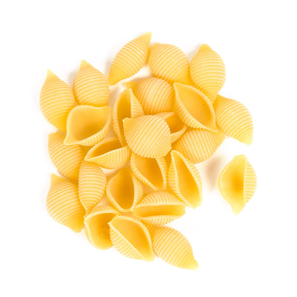 Wholesale Columbia Dried Medium Shell Pasta 10lb- Bulk