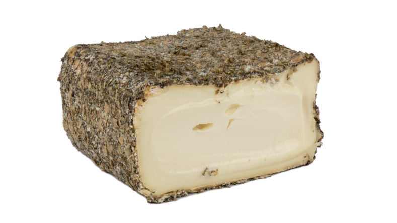 Wholesale Guffanti Brescianella Aquavite Cheese 10oz - Premium Italian Aquavit- Bulk
