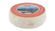 Wholesale Luigi Guffanti 1876 Casolet Italian Cow's Milk Cheese 3.5 LB- Bulk