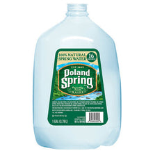 Wholesale Poland Spring Poland Spring 1 Gallon- Bulk
