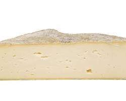 Wholesale Guffanti Sola 6.5 LB- Bulk