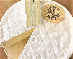Wholesale Brie Royale Au Truffles 1.6K- Bulk