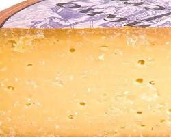 Wholesale Roomano 4 Yr (Pradera) 19 Lb- Bulk