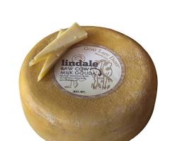 Wholesale Goat Lady Lindale Raw Cow Gouda- Bulk
