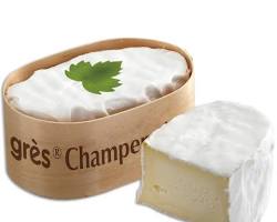 Wholesale Petit Gres Champenois 150G- Bulk
