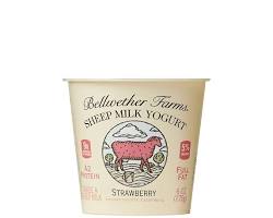 Wholesale Bellwether Sheep Yogurt Strawberry- Bulk