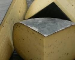 Wholesale Hollandic Gouda with Truffle 11 LB- Bulk