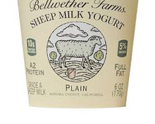Wholesale Bellwether Sheep Yogurt Plain 6OZ- Bulk