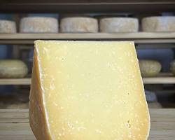 Wholesale Old Winchester (Smales) 4K- Bulk