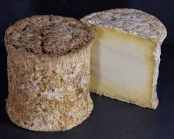 Wholesale French Blue Cheese Importers Provent Persille Destignes 12 x 1.75 1.7 LB- Bulk