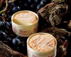 Wholesale Lincet Rond Du Vignes 70G- Bulk