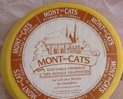 Wholesale Mont Des Cats 2/4.5- Bulk