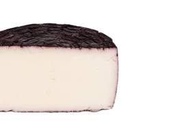 Wholesale Guffanti Brillo Di Treviso- Bulk