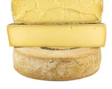 Wholesale Guffanti Toma Bettelmatt 1/12 Wheel 12 LB- Bulk