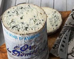 Wholesale Fourme Dambert Raw Milk 5- Bulk