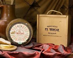 Wholesale Manchego El Trigal Reserve 14 Month 6 Lb- Bulk