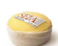 Wholesale Portuguese Silva Sheep Cheese 6/500- Bulk