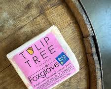 Wholesale Tulip Tree Foxglove 6/8Oz 8 Oz- Bulk