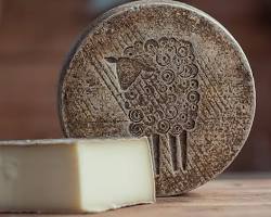 Wholesale Green Dirt Prairie Tomme 4.5 LB- Bulk