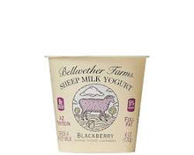 Wholesale Bellwether Specialty Yogurt Sheep Yogurt Blackberry 6 OZ- Bulk