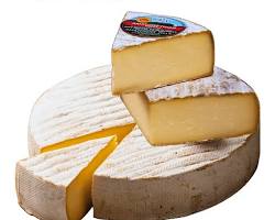 Wholesale Paul Dischamp Saint Nectaire 4 LB- Bulk