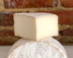 Wholesale Capriole Old Kentucky Tomme 5#- Bulk