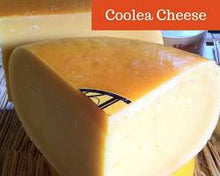 Wholesale Coolea Farmhouse Cheese 11 KG Hard Gouda Style Cow's Milk Cheese- Bulk